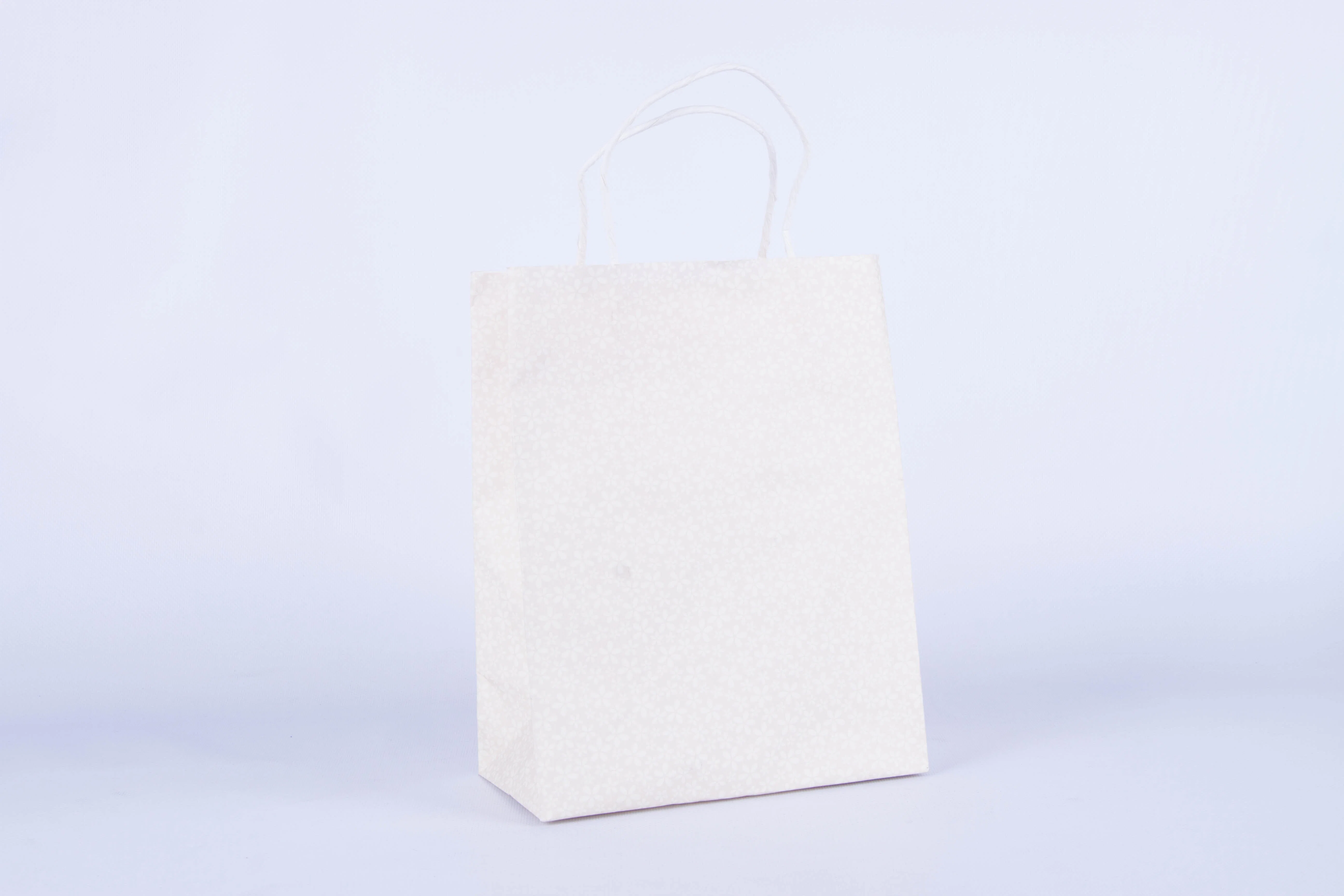 Handbag Custom Printing Kraft Paper Bag