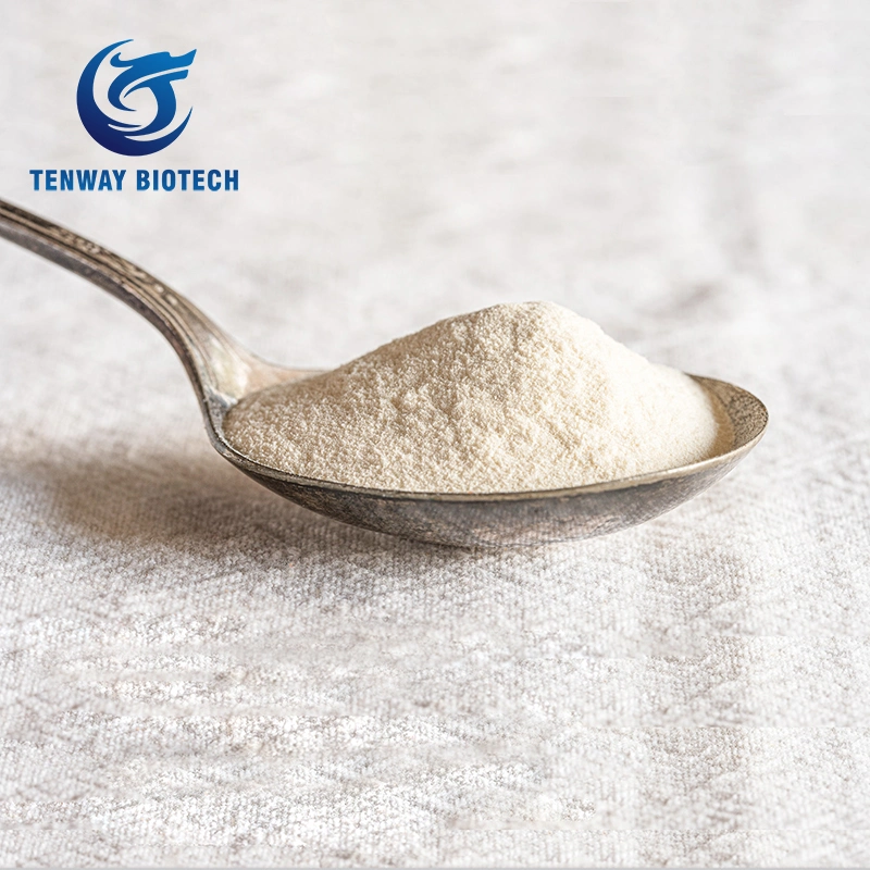 Ice Cream Raw Material Halal E415 Xanthan Gum for Sale From China Manufacturer