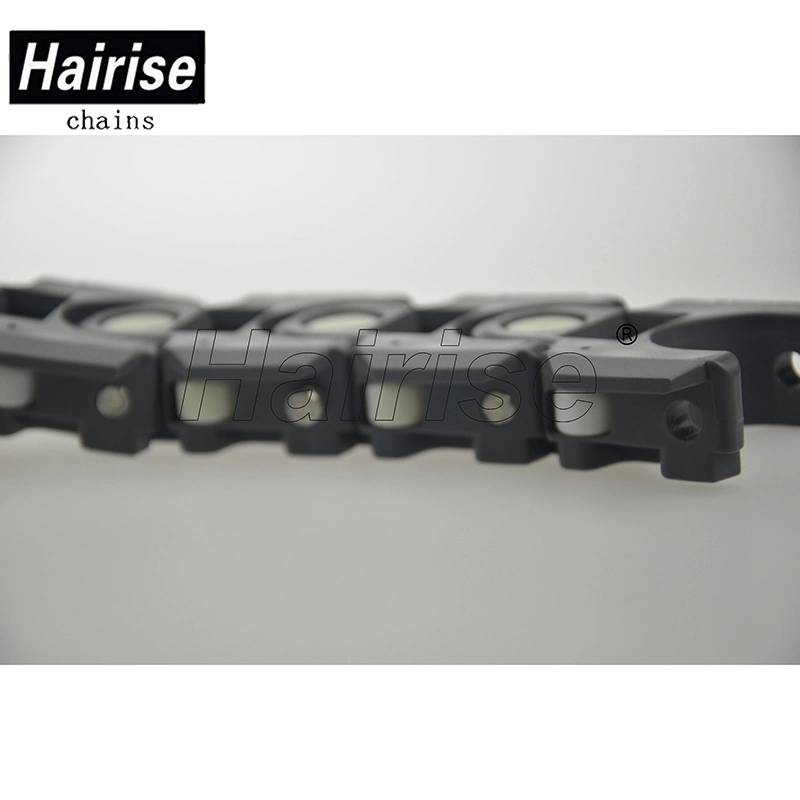 Hairise PT250 Flexible Slat Top Link Chain for Milk Industry with FDA& Gsg Certificate