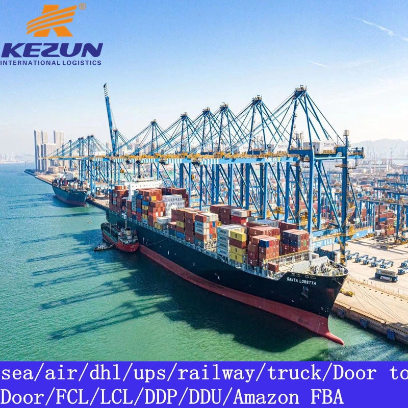 FCL LCL Sea Freight Forwarder From China to Chile with Customs Clearance/Duty/Tax Top Shipping Logistics Agent