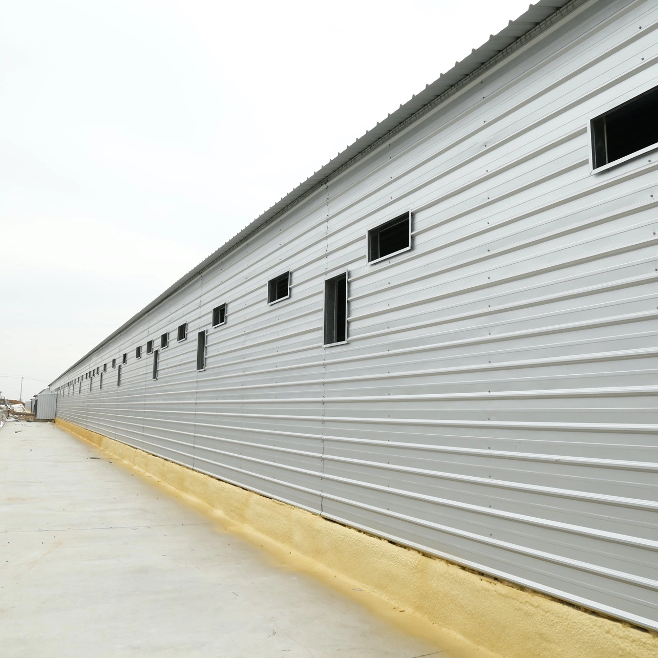 Envirnoment Controlled Steel Structure Poultry House Building