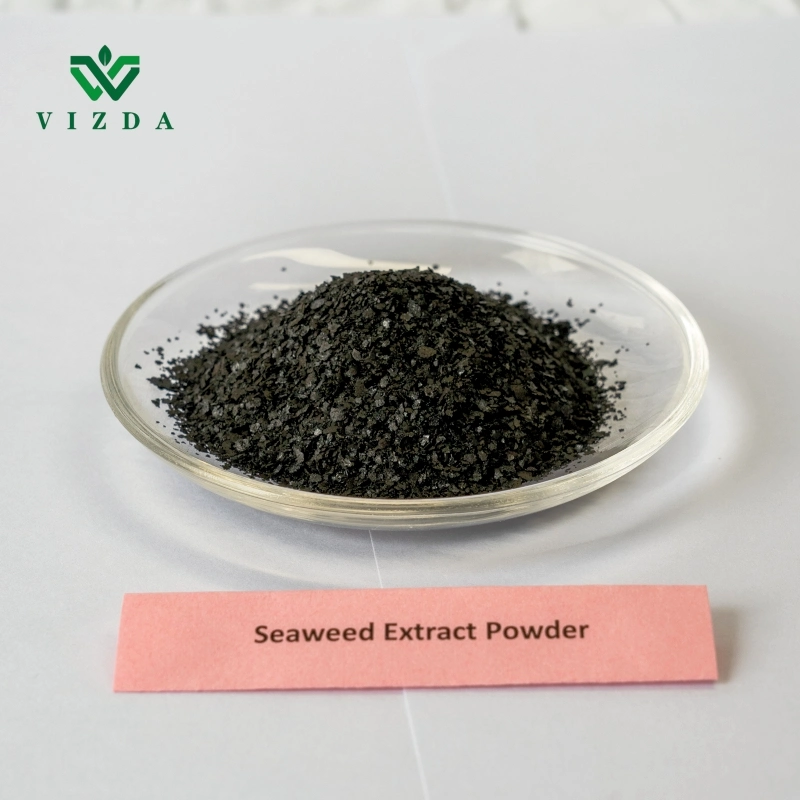 Dried Seaweed Fertilizer Powder