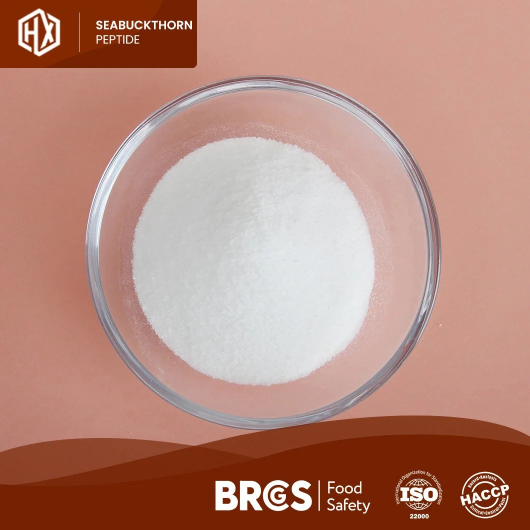 Haoxiang Wholesale/Supplier Supply Food Grade Lecithin Seabuckthorn Peptide 97% Lecithin Food Additives Bulk High Purity Seabuckthorn Peptide Powder in Anti-Fatigue