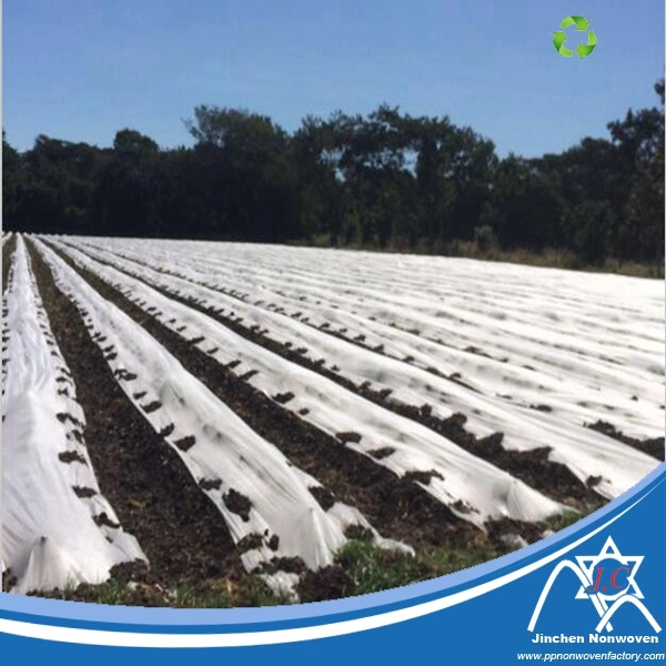 100%Polyprpopylene Nonwoven Fabric for Agriculture Ground Crop Cover