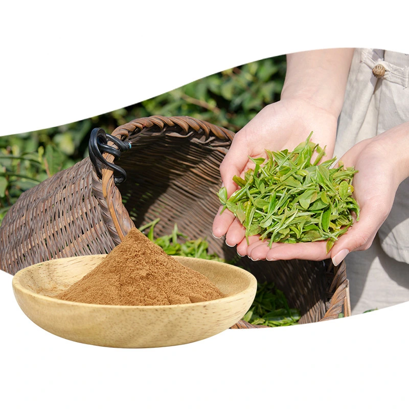 Bulk Price Herbal Extract Green Tea Extract Tea Polyphenol for Comestics/Food Additive