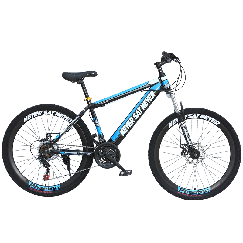 Chinese Cheap Mountain Bikes for Sale Adult Big Wheel Wide Tire