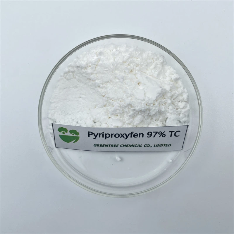 CAS No. 95737-68-1 Pyriproxyfen Insecticide 97 97% Tc