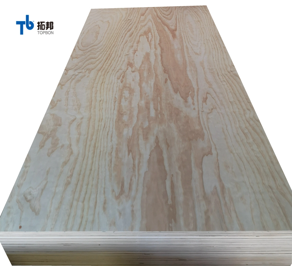 Hot Sale Construction Plywood 15mm/Packing Pine Plywood/Packing Plywood China