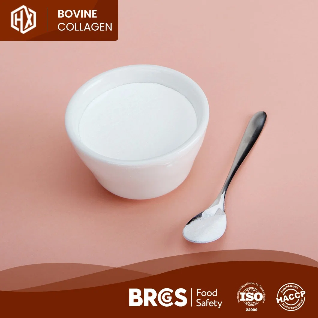 Haoxiang Collagen Peptides From Bovine Bone OEM Customized Bovine Collagen Peptide Protein Powder China Manufacturers One-Stop Service Growth Collagen Peptides