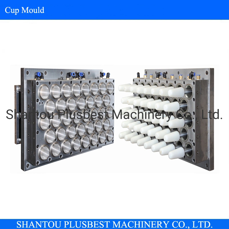 Plastic Glass Cup Mould for Cup Lid Box Container