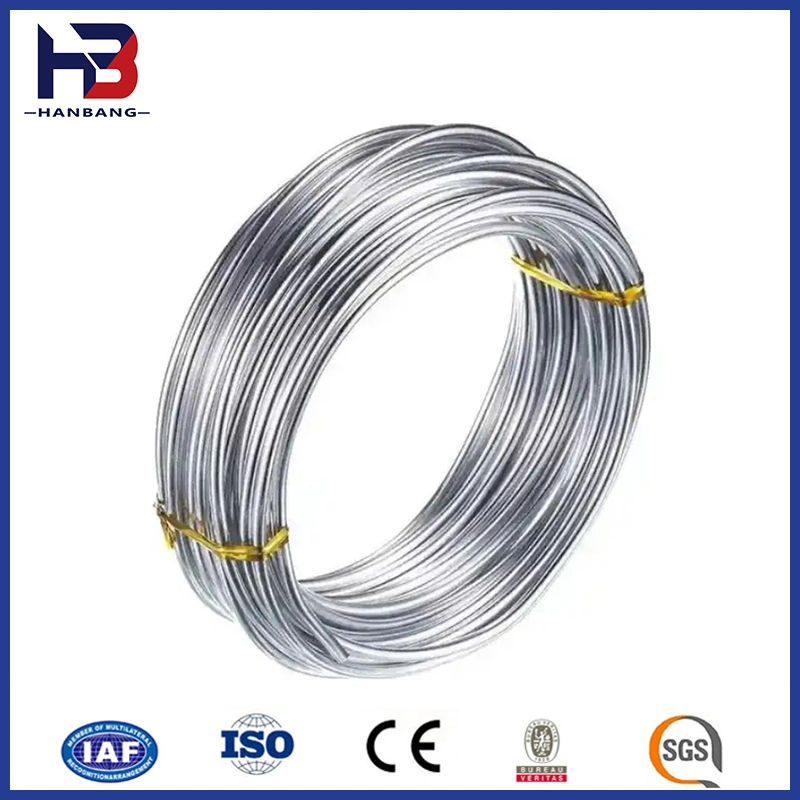 Stainless Steel Strip/Wire ASTM304 316L 310 630 276 904 2205 2507 Hot Rolled Profiled Building Material