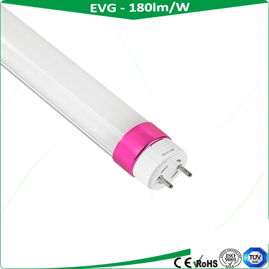 China Wholesale/Supplier Distributor 4FT T8 LED Tube Light with 180lm/W, Fluorescent Lamps, LED PAR Lights