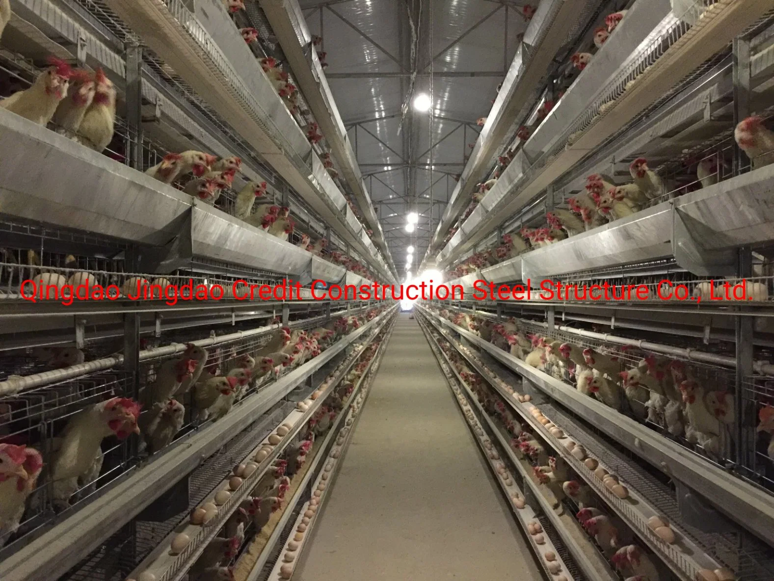 Poultry House Washer/Poultry Houses for Sale/Poultry House Equipment/Poultry House Blower/Poultry House Doors/Poultry House Ventilation Fans/Poultry Housedesign