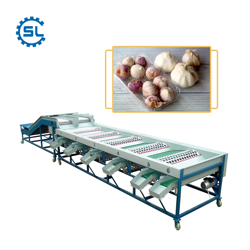 3-8t/H 3-9 Grades Garlic Shiitake Sorting Grading Machine