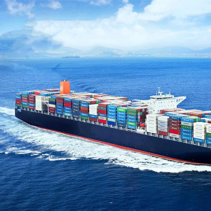 Freight Forwarder Sea Shipping Agent for Express Direct Sales Products From China