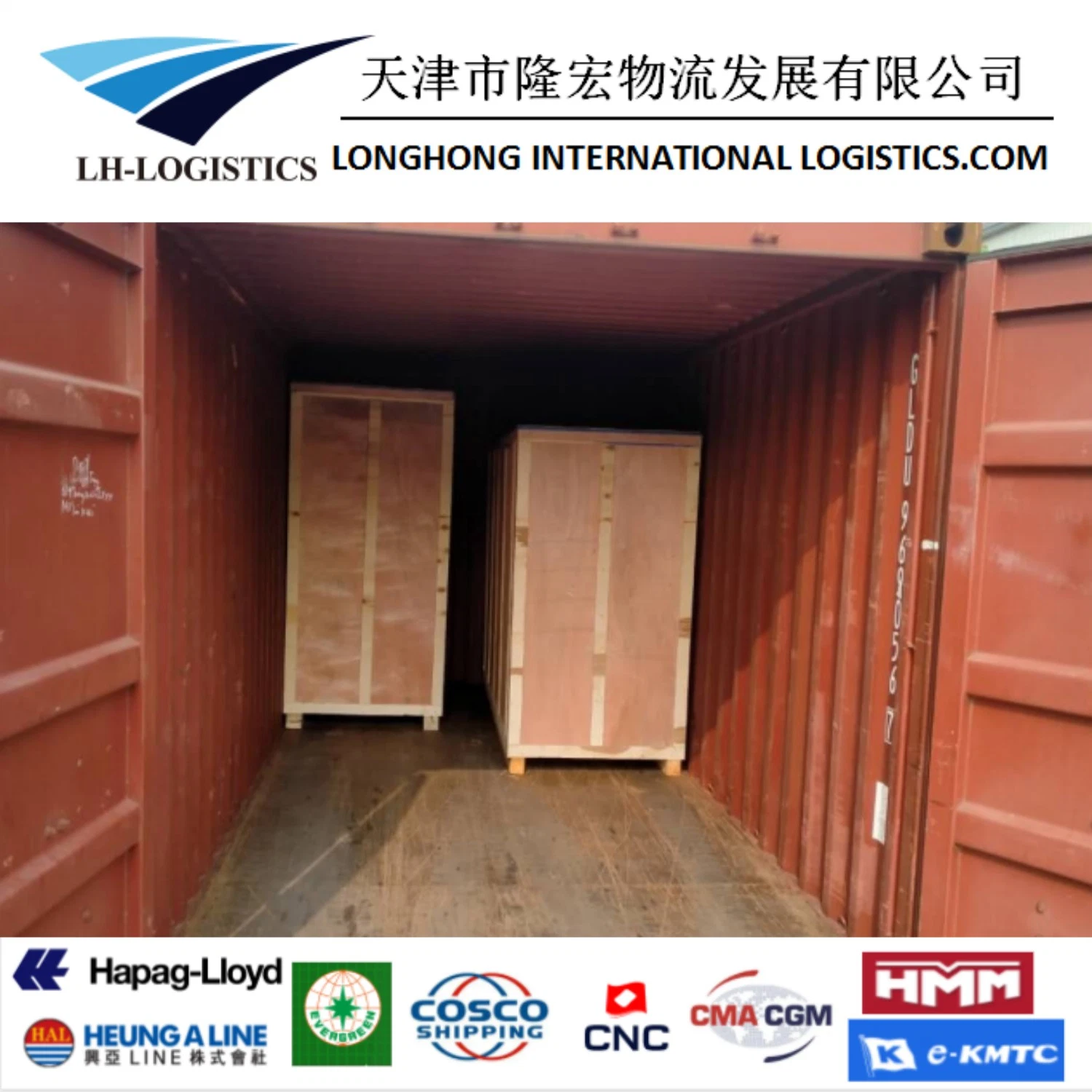 Drop Shipping/Warehouse/ Import Zollabfertigung Dienstleistungen Niedrigster Versand Fracht von China nach Auckland, Neuseeland