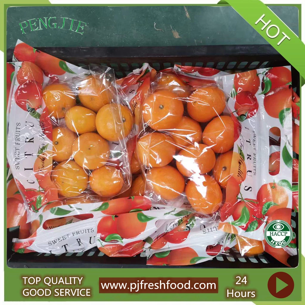 Fresh Sweet Mandarin Juicy Murcott Mandarin