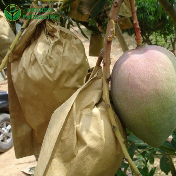 Wax Coated Bag Waxed Single Layer Fruit Protection Bags