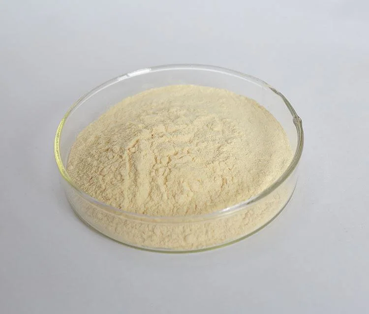 Pure Natural 100% Water Soluble Orange Fruit Juice Powder