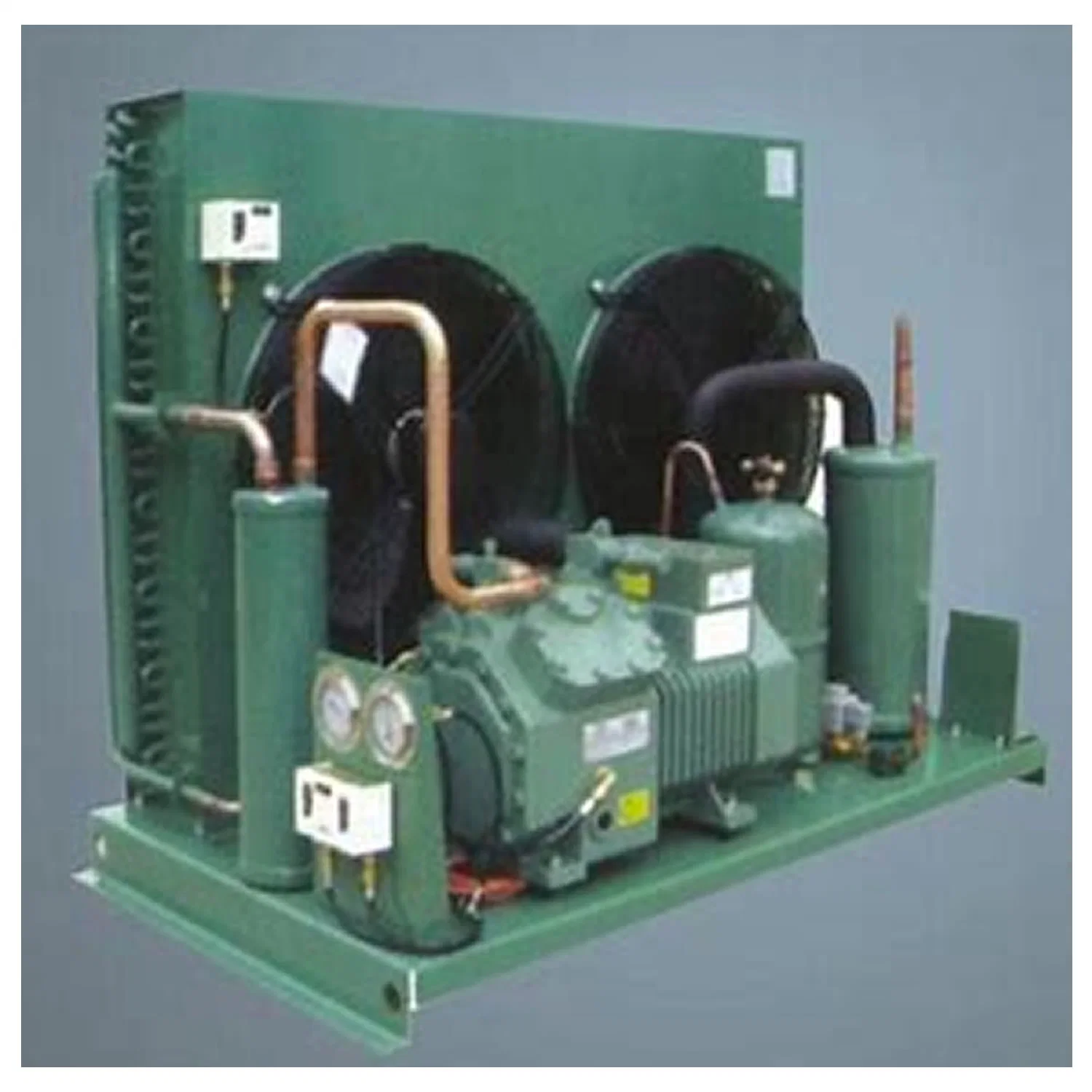 Termojinn Semi-Hermetic pistón de Reciprocating compresor refrigeración Condensing Unit Chiller para Congelador