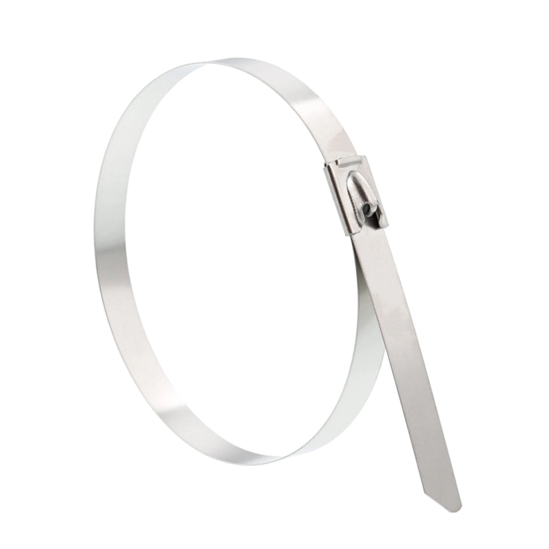 High Resistance Standard 316 Stainless Steel Quick Bands