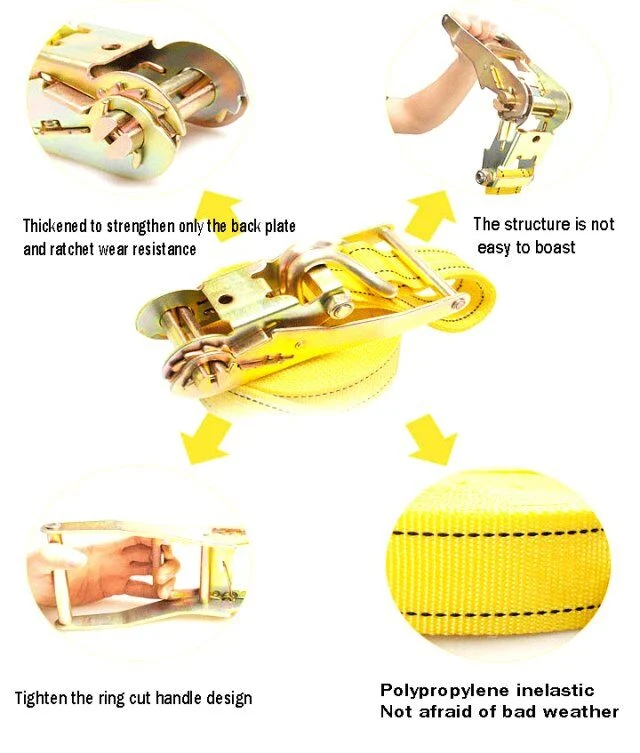 Customized Leo Shrink Packing, Blister Box or Bag Cargo Lashing Ratchet Belt with ISO 9001