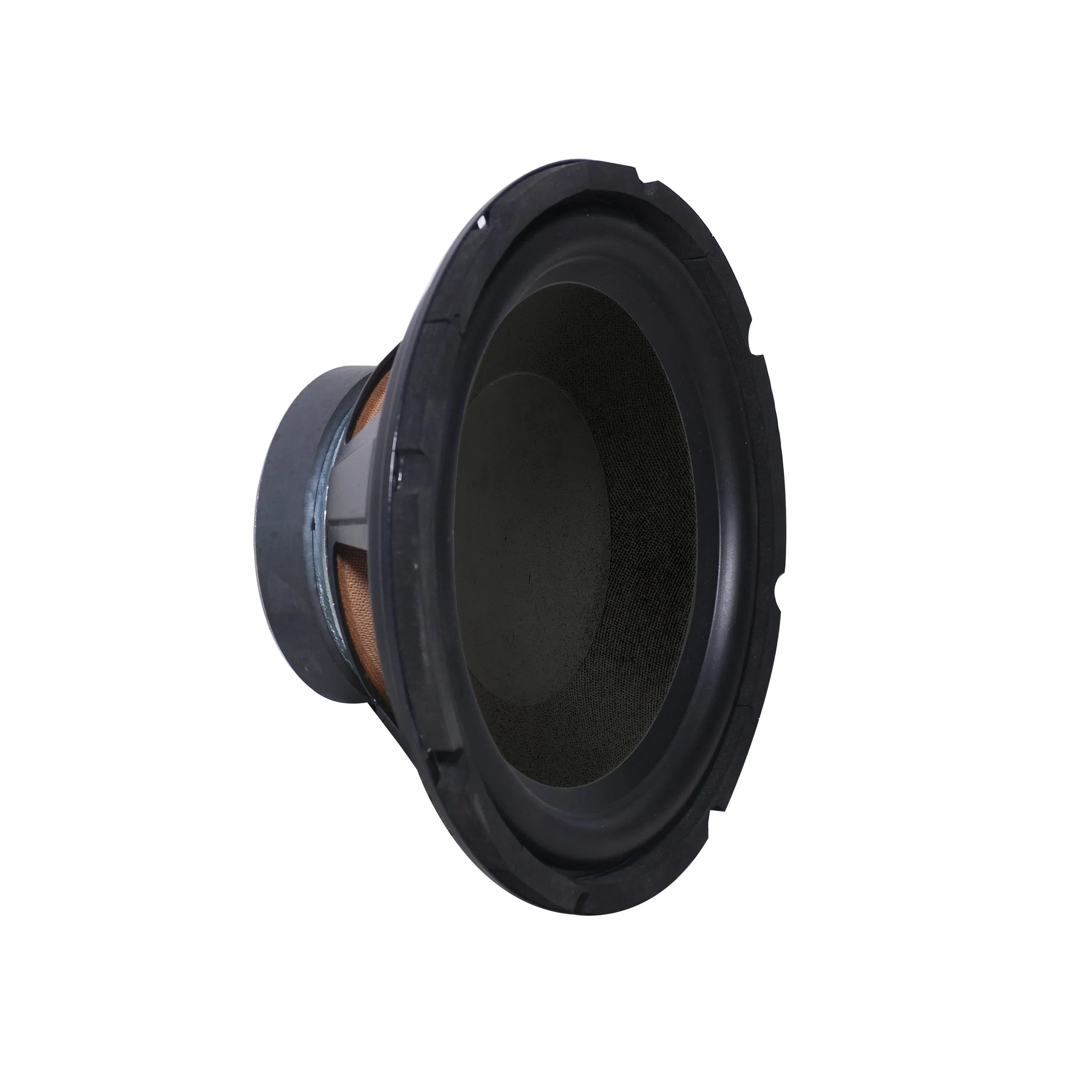 Caisson de basses 150 W 10 pouces haut-parleur Accessoires utilisés pour : Accueil Système audio du système de radiodiffusion de sonorisation, multimédia le président, haut-parleur Bluetooth, etc.