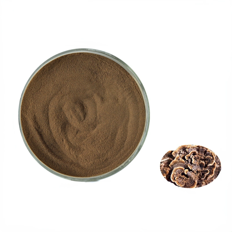 Polysaccharides10%-50%/Triterpene 1% Mushroom Extract Coriolus Versicolor Extract