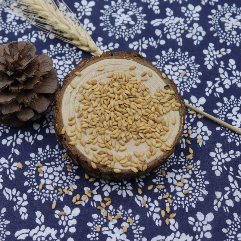 Ya mA Zi tradicional chinês natural ervas medicinais linseed secado Semente de flaxseed