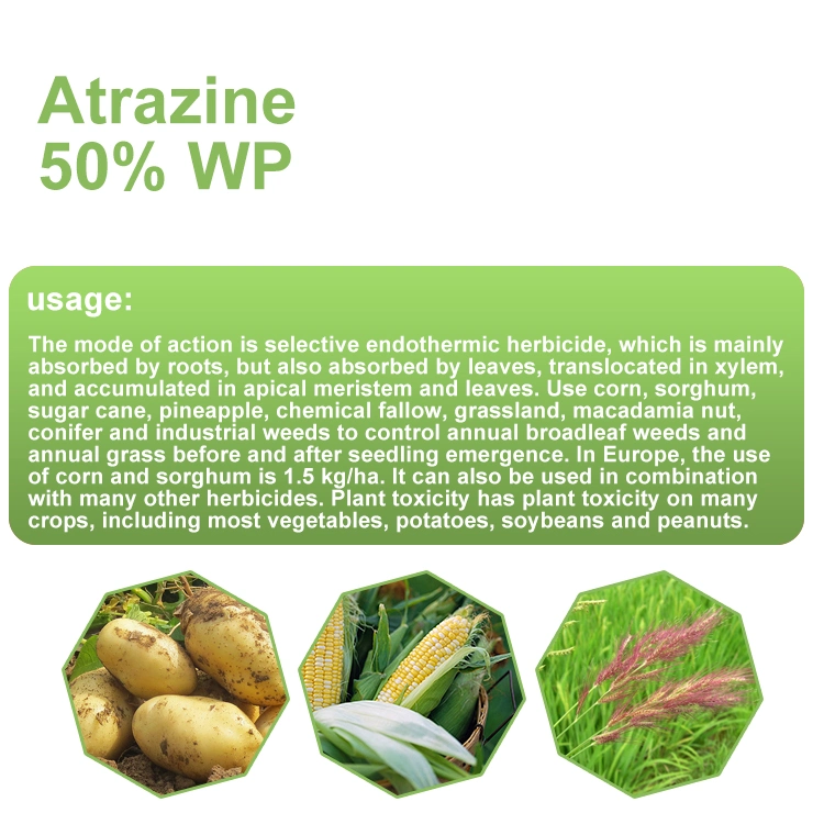 Les produits agrochimiques Mize Weedicide de riz de 50 % Wp Prix herbicide Atrazine