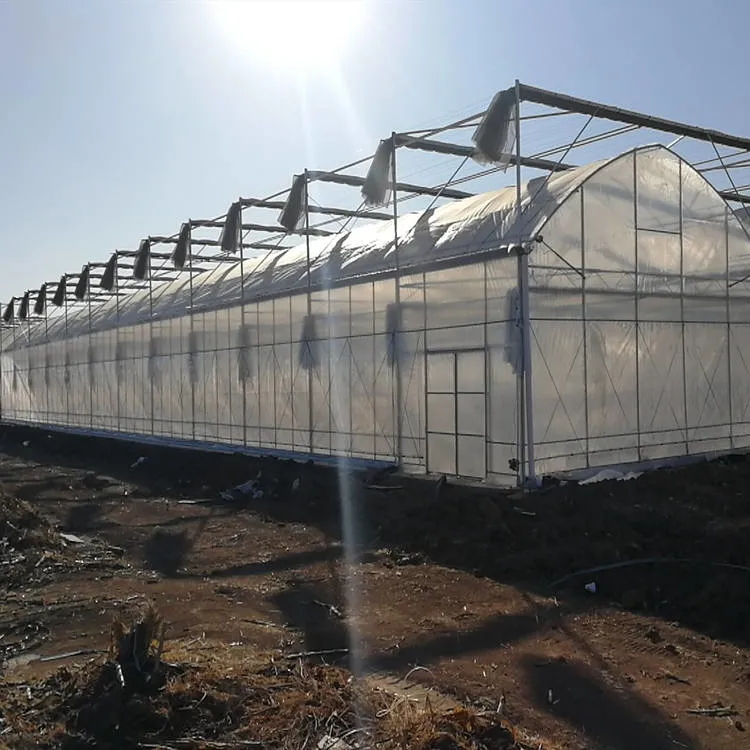 Commercial Hydroponic Plastic Film Green House Multi-Span Agricultural Greenhouses