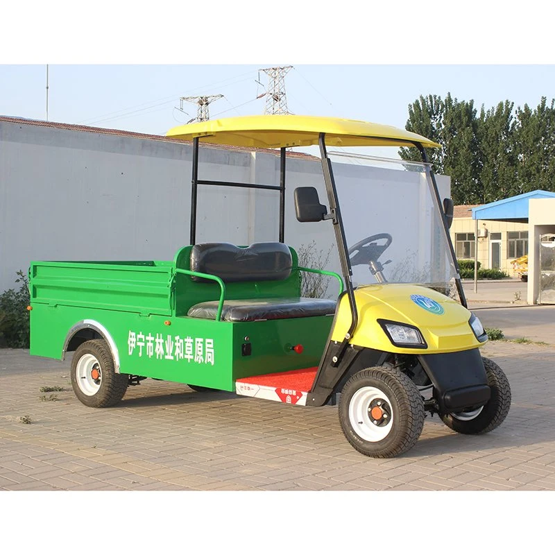 China Wholesale Cheap 2 Seat Electric Golf Car with Cargo Bucket