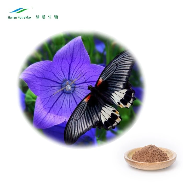 Platydodon Grandiflorum Powder 4: 1~20: 1 Radix Platycodi Extract