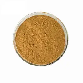 Factory Supply Dipsaci Radix Xuduan Herbal Extract Products