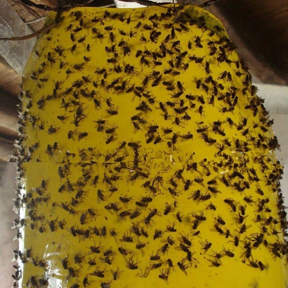 Zq- cola Amarela Board assassino de insetos para controle de pragas