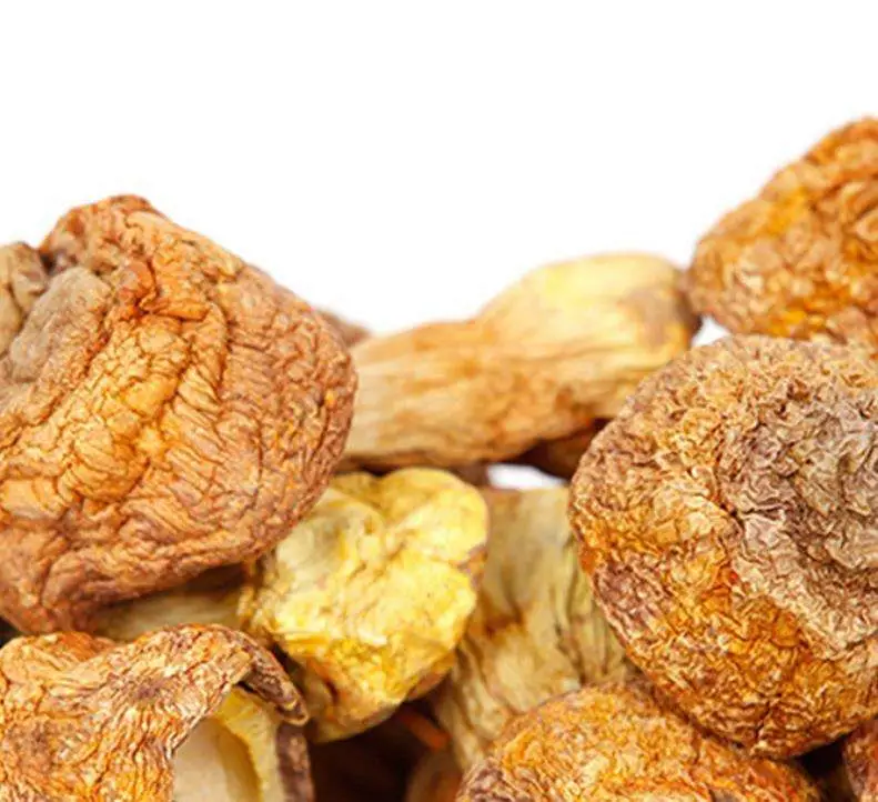 Superfood Natural Healthy Chinese Herbal Medicine Dried Champignon Mushroom for Soup