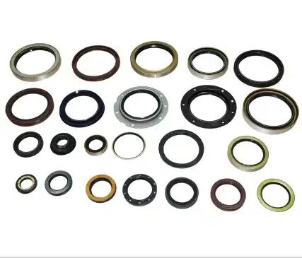 Wholesale/Suppliers Tg Tg4 Oil Seals Hydraulic Pneumatic Seal for Auto Parts High quality/High cost performance NBR Material