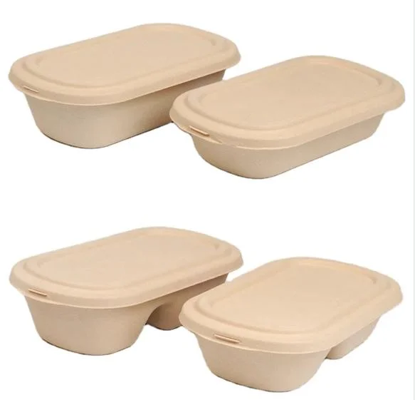 500ml Compostable Bagasse Take out Eco Fast Food Packaging Lunch Bento Box