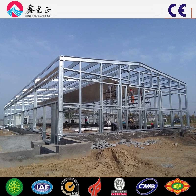 High Production Efficiency Steel Structure Poultry House for 10000 Chickens