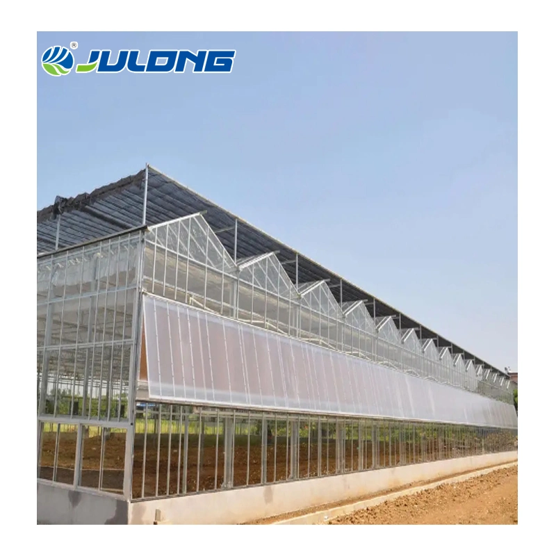 Solar Commercial Multi-Span Polycarbonate Sheet Greenhouses Flower House with Cooling Pad and Fan