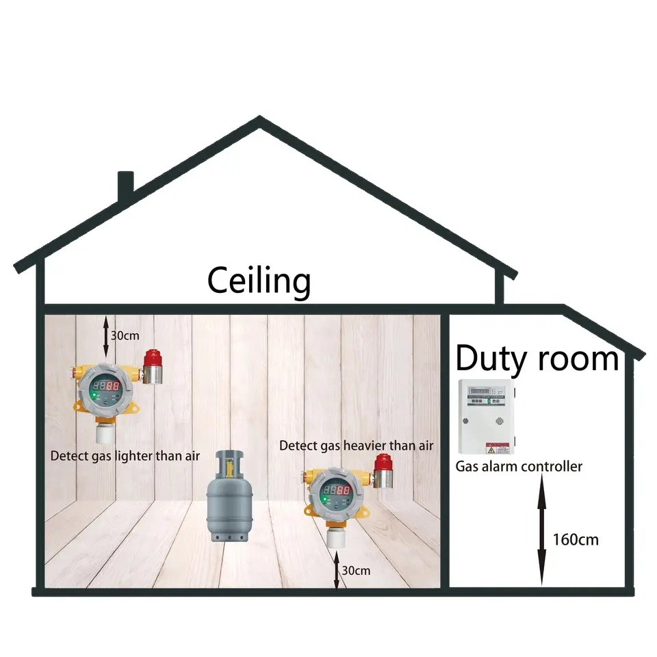 Certified Explosion-Proof Fixed Gas Detector with Sound and Light Alarm