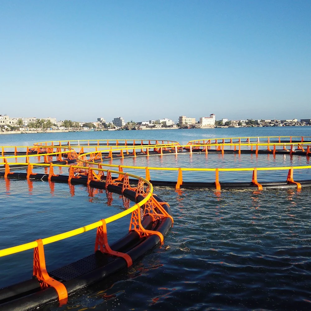 Granja de peces HDPE jaula flotante de tilapia Cage de peces Equipo de pesca Equipo de piscicultura