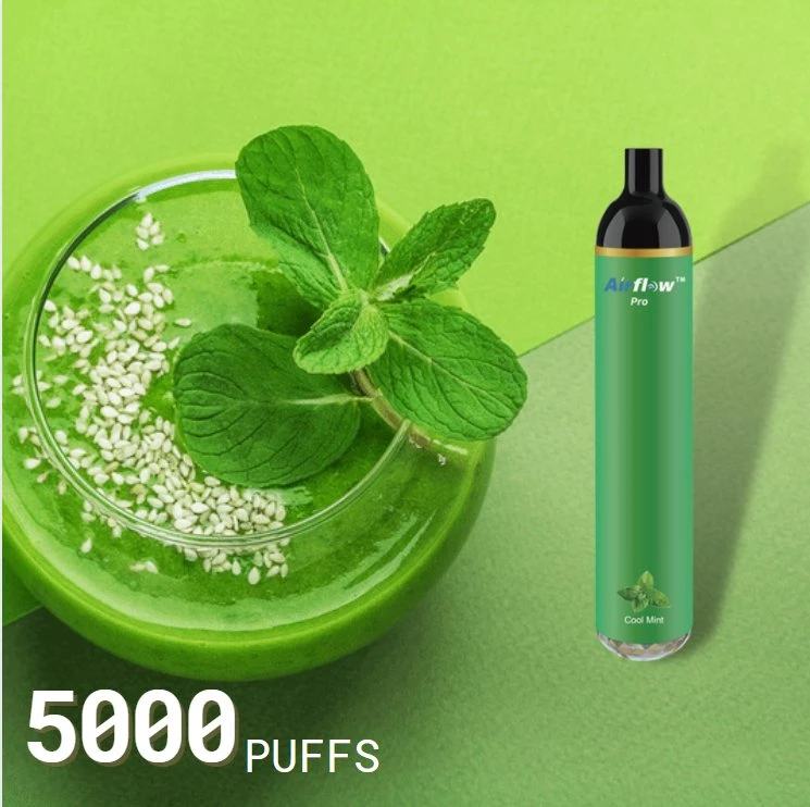 5000 puffs Vape jetable Vape Pen E-cigarette commerce de gros Vape fumeurs Cigarette électronique