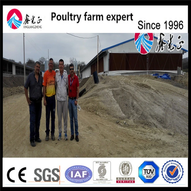 Poultry Farm Chicken Feeding Equipment Broiler Pan Feeder