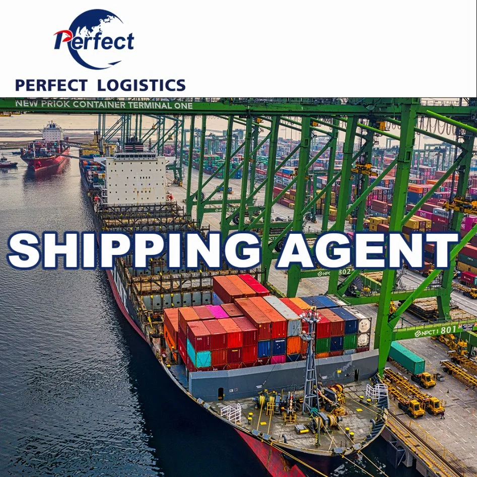 Air/Sea Freight Shipping Agent From China to USA Canada Europe Best Price with Customs Tax/Duty Best Price