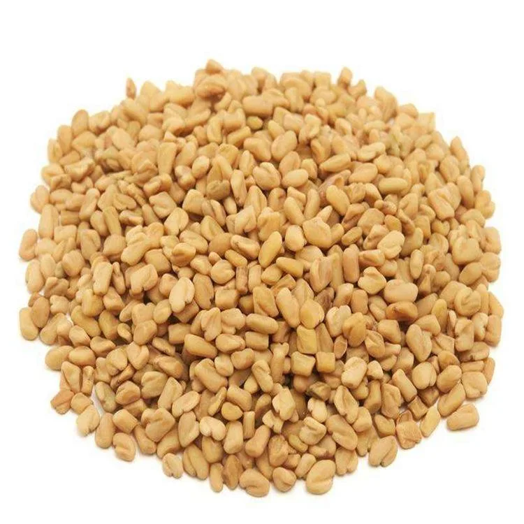 High quality/High cost performance  Best Selling 10%, 20% 50% Saponins Fenugreek Seed Trigonella Foenum Graecum Extract