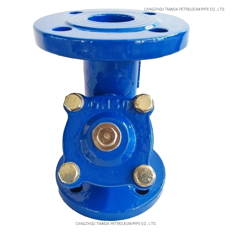 Ferro fundido Y Filtro Tipo Flange Duplo / Aço inoxidável água filtrador Y DIN/JIS/ASME/ASTM/GB