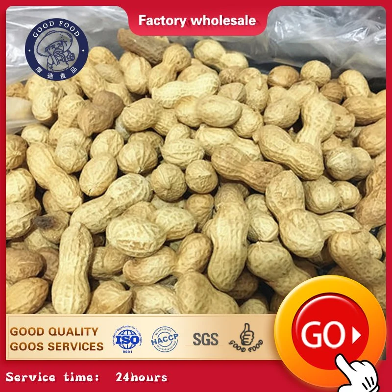 Ex-Factory Price New Crop Nature Garlic Taste Roasted Blanched Peanuts