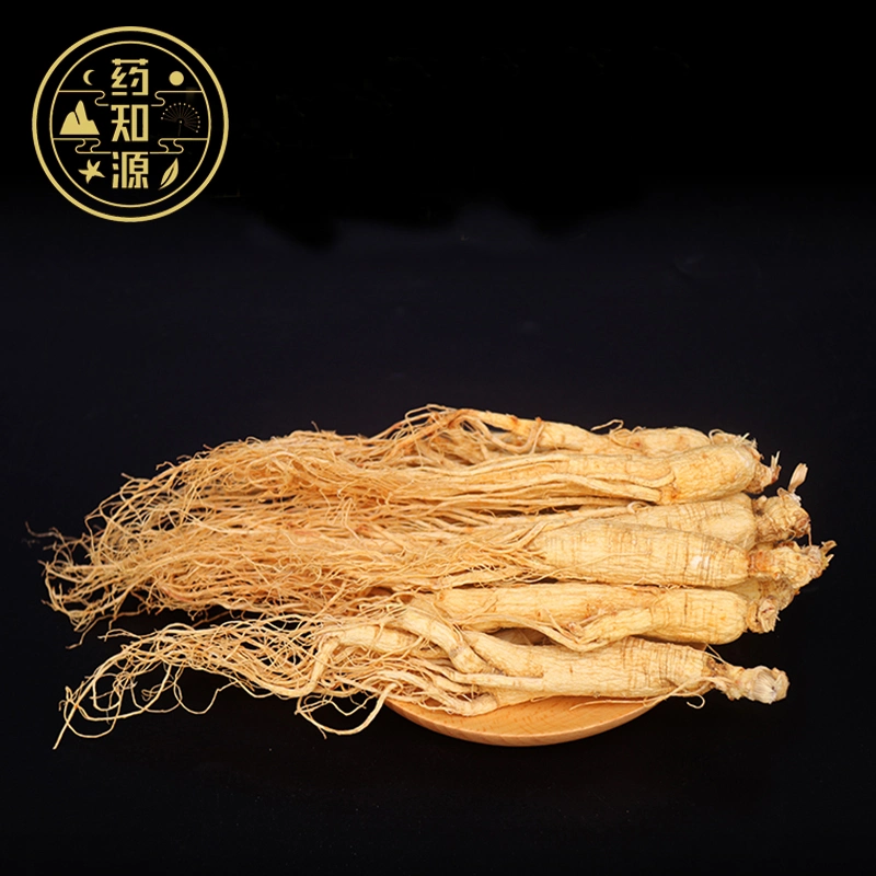 Ren Shen natürliche chinesische Medizin getrocknete Ginseng Radix in Masse