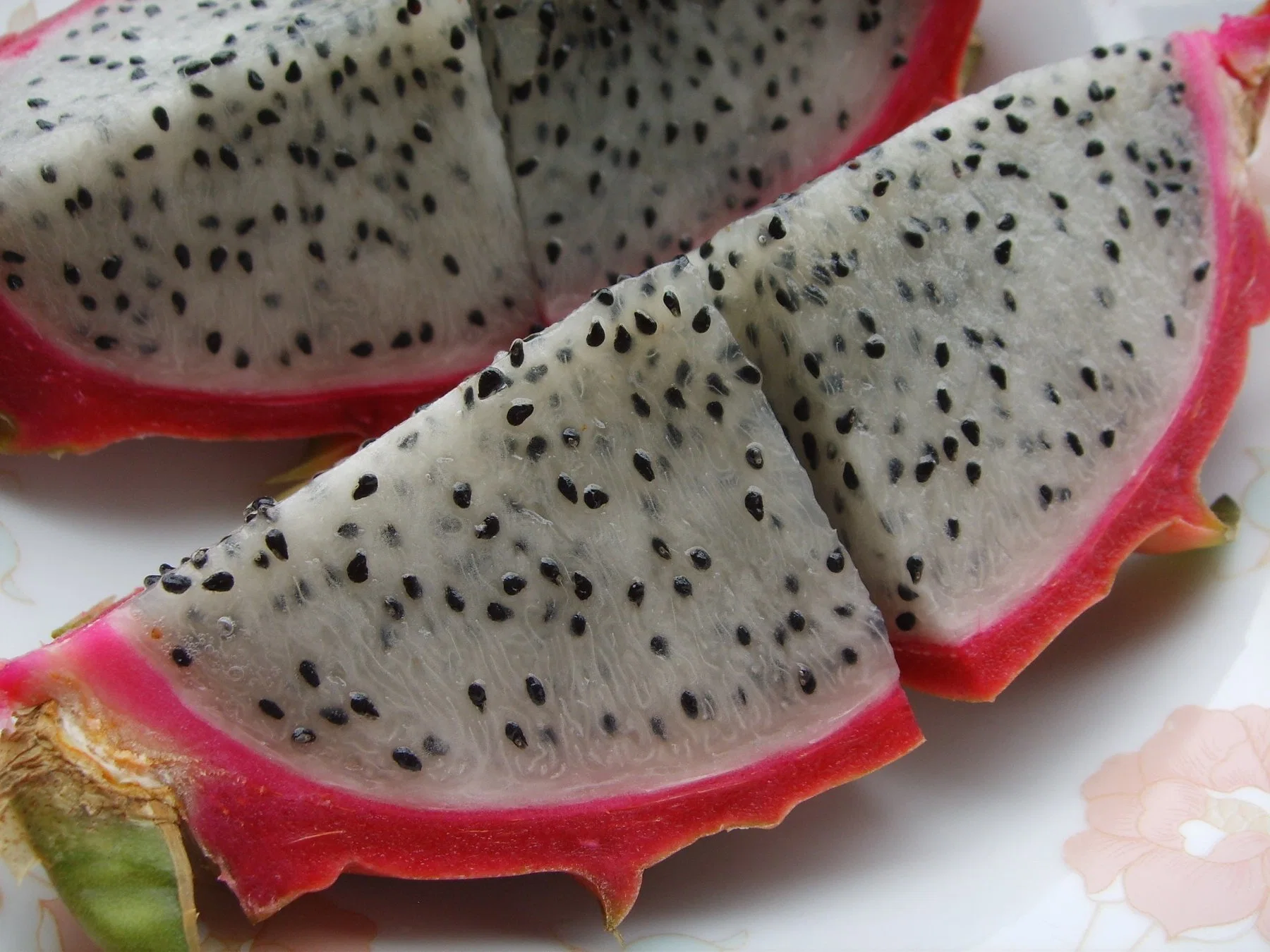 White Fresh Dragon Fruit Pitaya Fruit Sweet Fruit Karton-Paket Whole Fruit Pitaya Health Food Frische Früchte Verkauf